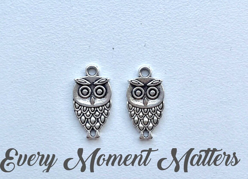 Tibetan silver owl - 10,