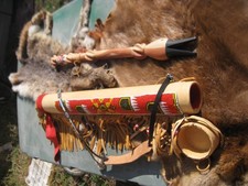 Native American Lakota Bird