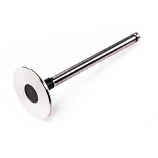 738095M1 Pack of 4 INLET VALVE