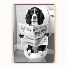 bathroom springer spaniel on toilet Print Picture Poster Unframed A3 newspaper