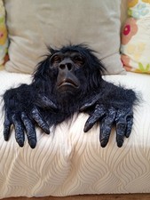 OFFERS / COMBINE - COSTUME