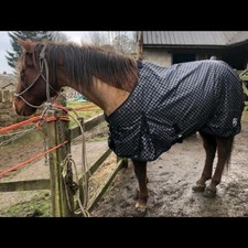 Lightweight Turnout Horse Rug