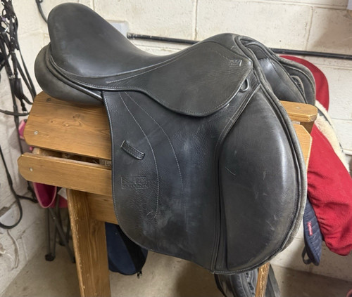 Monarch jumping saddle horse - jumping,