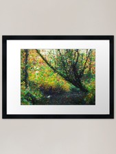 Pebble Brook Framed Art Print