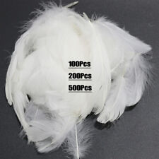 500pcs White Small Fluffy Swan