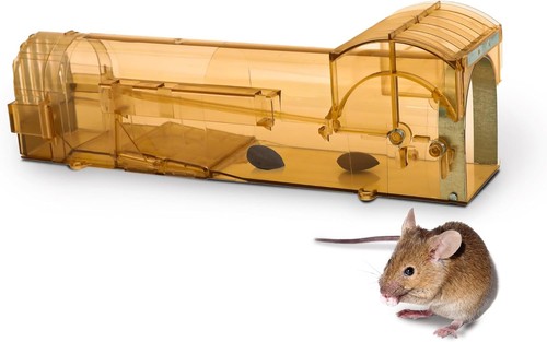 Keplin humane mouse trap - humane,