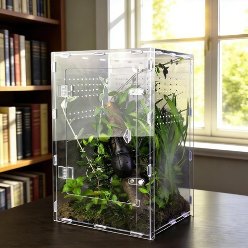 Acrylic terrarium enclosure - terrarium,