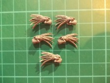 Warhammer 40k kroot skulls - warhammer, 5