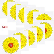10 Fly Catchers Window Flower