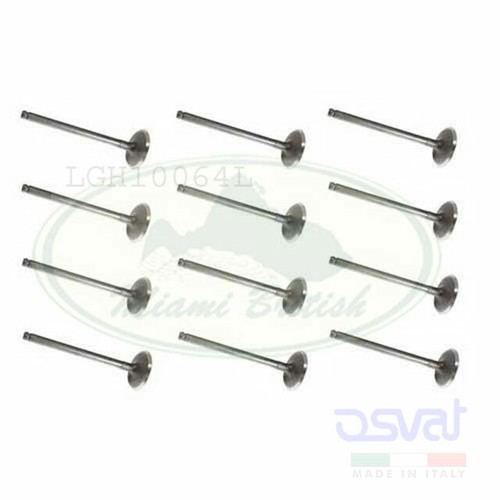 Land rover engine - intake, valve
