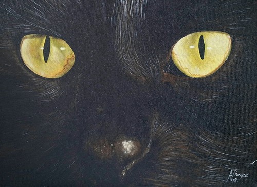 Original oil painting - painting, canvas