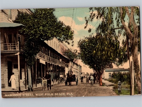 C1914 narcissus west palm - c1914, st