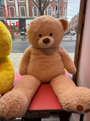 Large brown teddy bear - teddy,