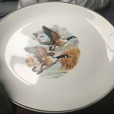 PETER SCOTT MIDWINTER BIRD SCENE PLATTER 