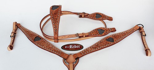 Horse equine show tack bridle - equine,