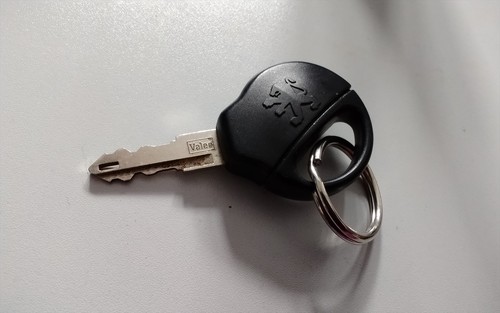 Genuine peugeot 206 - car, key