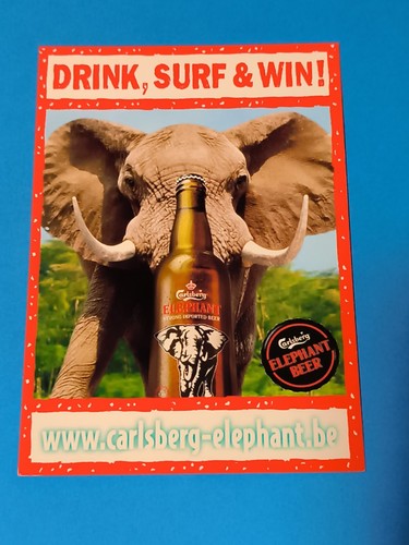 Carlsberg beer elephant drink - beer,