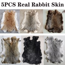 5pcs Real Rabbit Skin Tanned