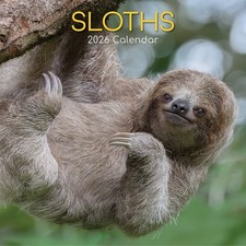 NEW CALENDAR 2026 SLOTHS