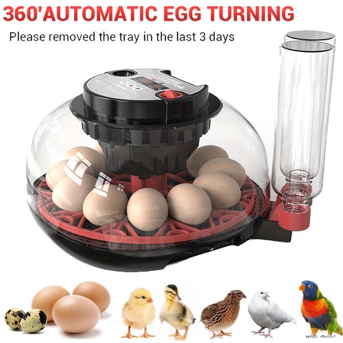Digital egg incubator - digital, 12-egg