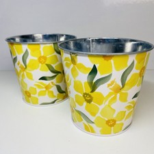 Emma Bridgewater  M&S Plant