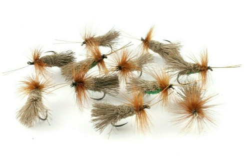 Goddard sedges classic - sedges,