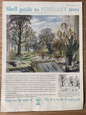 S R Badmin TREES IN FEBRUARY SHELL GUIDE  28cm x 21cm  Advert TO THE COUNTRYSIDE