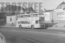 35mm Black and White Negative