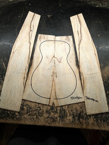 British spalted sycamore back - british,