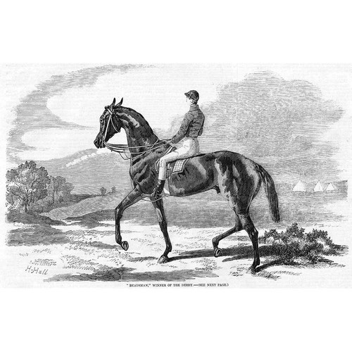 Horse racing beadsman - horse,