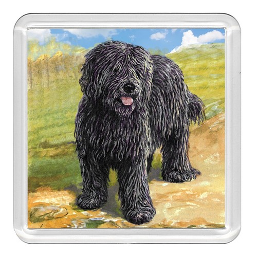 Hungarian puli dog acrylic - dog,
