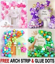 Balloon Arch Kit +Balloons