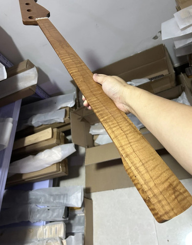 Fretless bass guitar - guitar, neck