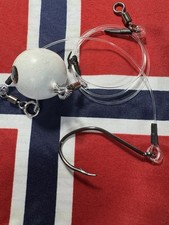 585g norway dead - norway,