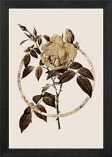 Gold Circle Rose Botanical