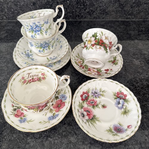 Royal albert flower - flower, the