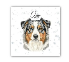 Australian Shepherd