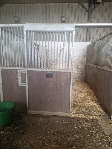Internal monarch horse - internal,