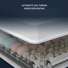 US Plug 110V 48 Eggs Automatic