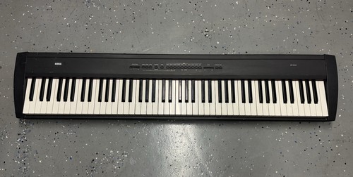 Korg 200 key weighted - 88-key,