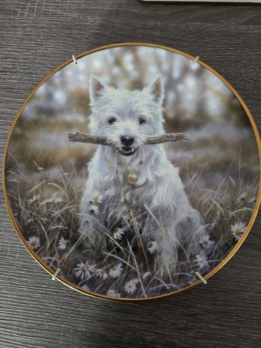 Danbury mint westie playing - mint,