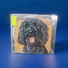 Cup & Coaster Set Of A Black