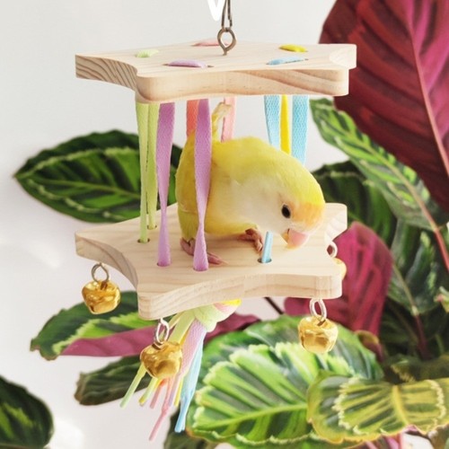 Wooden colourful parrot swing - wooden,