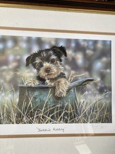 Paul Doyle Signed Limited Edition Framed Print “Yorkshire Pudding” Terrier Art