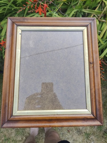 Bird eye maple - bird's, frame