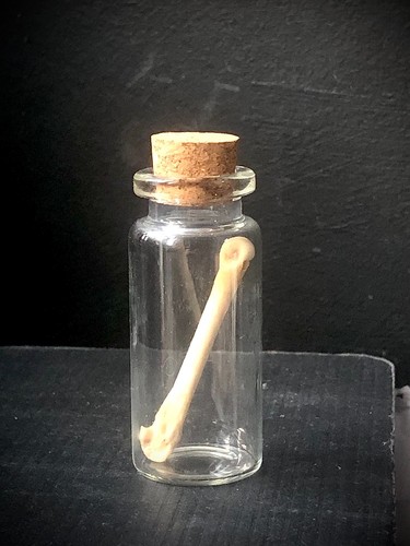 Jar rabbit leg - jar, of
