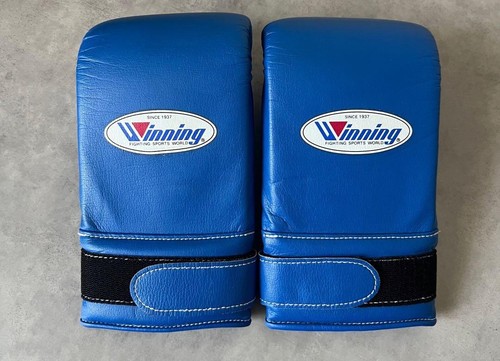 Winning boxing bag punching - boxing,
