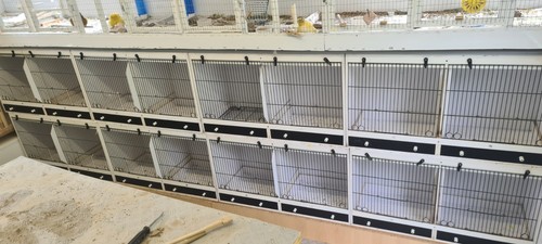 Canary finch upvc double - canary,