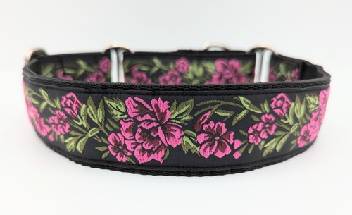 Martingale dog collar 38mm - collar,