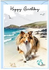 Shetland Sheepdog / Sheltie